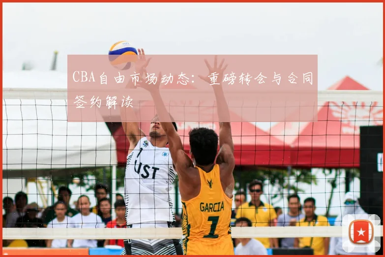 CBA自由市场动态：重磅转会与合同签约解读