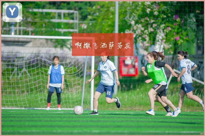 CBA联赛规则详解：从常规赛到季后赛的晋级之路_20260526125128